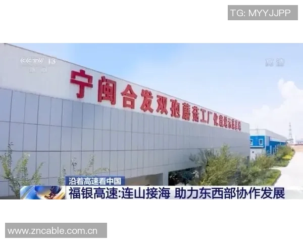 西安攀岩队创新盯防策略助力竞技水平提升与团队协作优化 西安攀岩队创新盯防策略助力竞技水平提升与团队协作优化